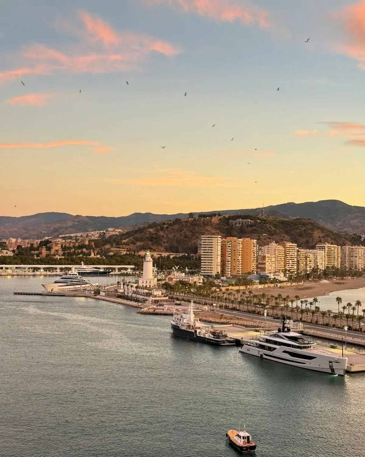Comprador de vivienda habitual en Málaga capital